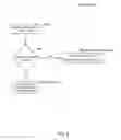 Fig. 06 - Superturbocharger control systems