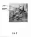 Fig. 03 - DRINKING WATER COOLER