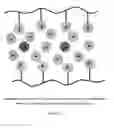 Fig. 06 - Imidazolium-based room-temperature ionic liquids, polymers, monomers, and membranes incorporating same
