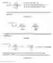 Fig. 10 - Imidazolium-based room-temperature ionic liquids, polymers, monomers, and membranes incorporating same