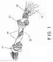 Fig. 02 - Bone shaped pet product