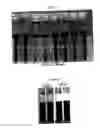Fig. 03 - Aqueous Cutting Fluid for Use with a Diamond Wiresaw
