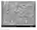 Fig. 01 - SILICON CARBIDE HONEYCOMB AND METHOD OF PREPARING THE SAME