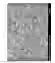 Fig. 02 - SILICON CARBIDE HONEYCOMB AND METHOD OF PREPARING THE SAME
