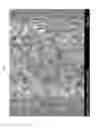 Fig. 03 - SILICON CARBIDE HONEYCOMB AND METHOD OF PREPARING THE SAME