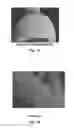 Fig. 02 - Compositions And Methods For Permanent Straightening Of Hair