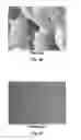 Fig. 07 - Compositions And Methods For Permanent Straightening Of Hair