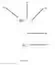 Fig. 09 - DEVICE FOR ASSISTING WITH HAIR STYLING