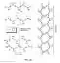 Fig. 06 - Parallel coaxial molecular stack arrays