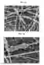 Fig. 03 - DYE SENSITIZED SOLAR CELL, AND METHOD OF MANUFACTURING THE SAME