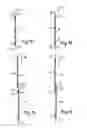 Fig. 14 - Device for production of a coreless roll of web material