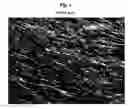 Fig. 02 - Method for coating dry finish paperboard