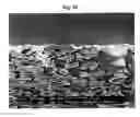 Fig. 11 - Method for coating dry finish paperboard