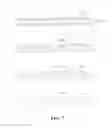 Fig. 06 - Carrier tape for tab-package and manufacturing method thereof