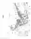 Fig. 03 - Motorcycle