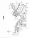 Fig. 07 - Motorcycle
