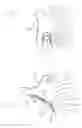 Fig. 04 - HEARING ASSISTANCE DEVICE