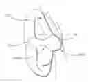 Fig. 01 - Hearing assistance device
