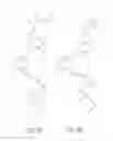 Fig. 04 - Spreader spring