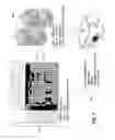 Fig. 09 - Pickface builder for storage and retrieval systems