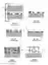 Fig. 03 - Electrochemical Fabrication Methods Incorporating Dielectric Materials and/or Using Dielectric Substrates