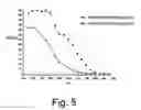 Fig. 04 - MODIFIED TUNGSTEN OXIDE AND PROCESS FOR ITS PREPARATION