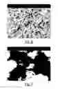 Fig. 05 - MODIFIED TUNGSTEN OXIDE AND PROCESS FOR ITS PREPARATION