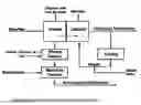 Fig. 01 - Process for producing chlorine with low bromine content