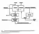 Fig. 02 - Process for producing chlorine with low bromine content