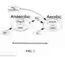 Fig. 02 - Method of biological phosphorus removal with maximum nitrogen removal in wastewater