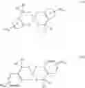 Fig. 05 - METHOD FOR SEPARATING SUBSTANCE MIXTURES BY MEANS OF MULTIPHASE POLYMER FILMS