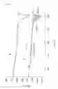 Fig. 05 - Synthetic resin bottle and process for manufacturing the same