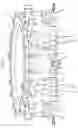 Fig. 03 - Liquid bottling method and machine, in particular for carbonated liquids or oxygen sensitive liquids
