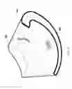 Fig. 07 - COLLAPSIBLE DRUM WITH REINFORCED ENDS
