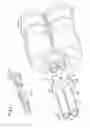Fig. 03 - Syringe for single use