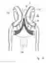 Fig. 03 - Baby carrier