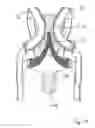 Fig. 03 - Baby carrier