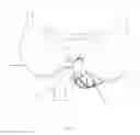 Fig. 02 - Holster