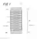 Fig. 02 - Multi-layer piezoelectric element, and injection device and fuel injection system provided therewith for enhanced durability