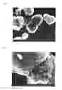 Fig. 02 - Sample holder for maldi mass spectrometric analysis, and mass spectrometric analysis method