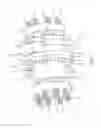 Fig. 02 - Planetary gear valve
