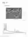 Fig. 10 - Permanent magnet and manufacturing method thereof