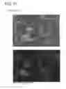 Fig. 12 - Permanent magnet and manufacturing method thereof