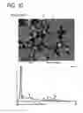 Fig. 10 - Permanent magnet and manufacturing method thereof