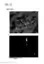 Fig. 13 - Permanent magnet and manufacturing method thereof