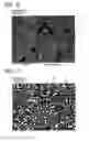Fig. 16 - Permanent magnet and manufacturing method thereof