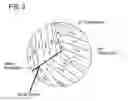 Fig. 03 - Permanent magnet and manufacturing method thereof