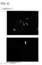 Fig. 13 - Permanent magnet and manufacturing method thereof