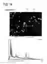 Fig. 14 - Permanent magnet and manufacturing method thereof