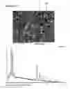 Fig. 01 - PERMANENT MAGNET AND MANUFACTURING METHOD THEREOF